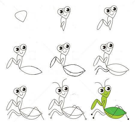 Dibujos de Mantis Religiosa en el Jardín