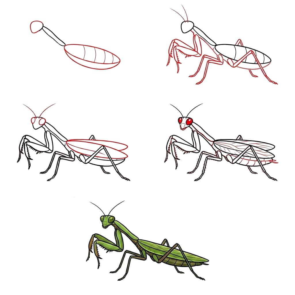 Dibujos de Mantis Religiosa en la Naturaleza