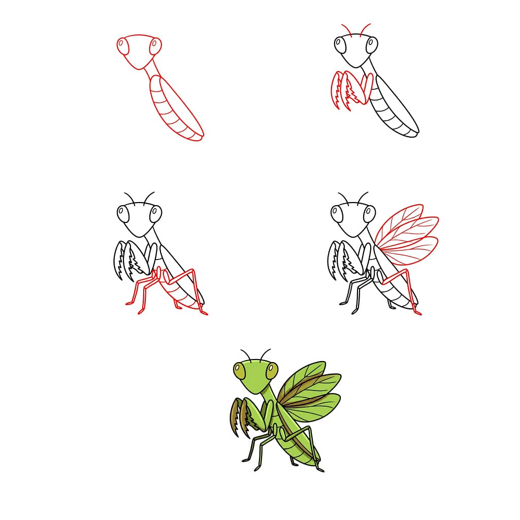 Dibujos de Mantis Religiosa Exótica