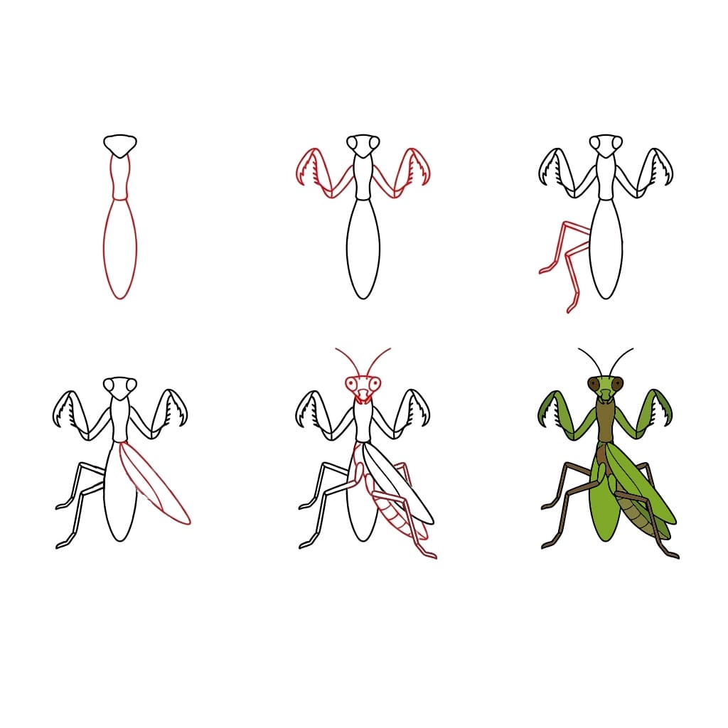 Dibujos de Mantis Religiosa Gigante