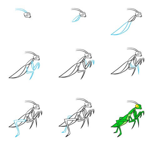 Dibujos de Mantis Religiosa Realista