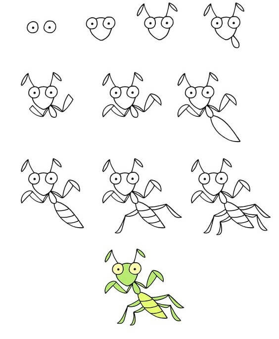 Dibujos de Mantis Religiosa Saltarina