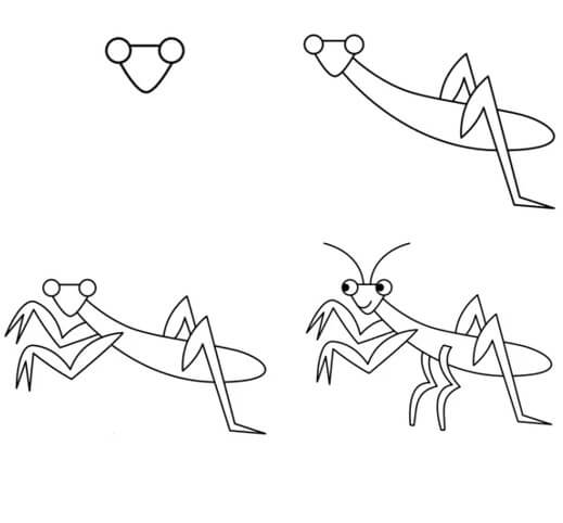 Dibujos de Mantis Religiosa Silvestre