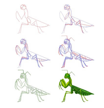 Dibujos de Mantis Religiosa Verde Brillante