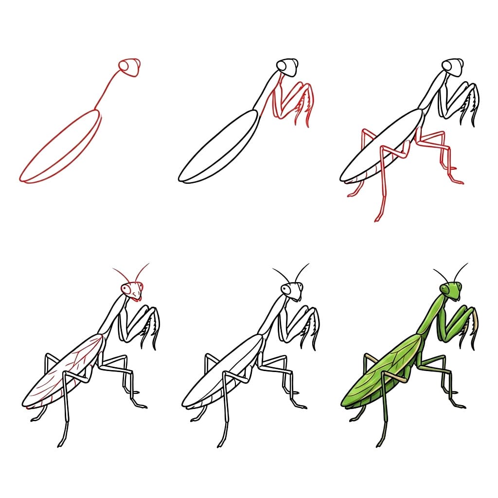 Dibujos de Mantis Religiosa Verde