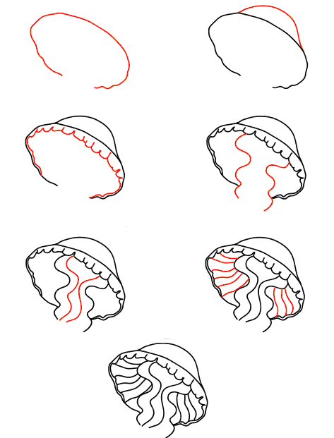 Dibujos de Medusa del mar