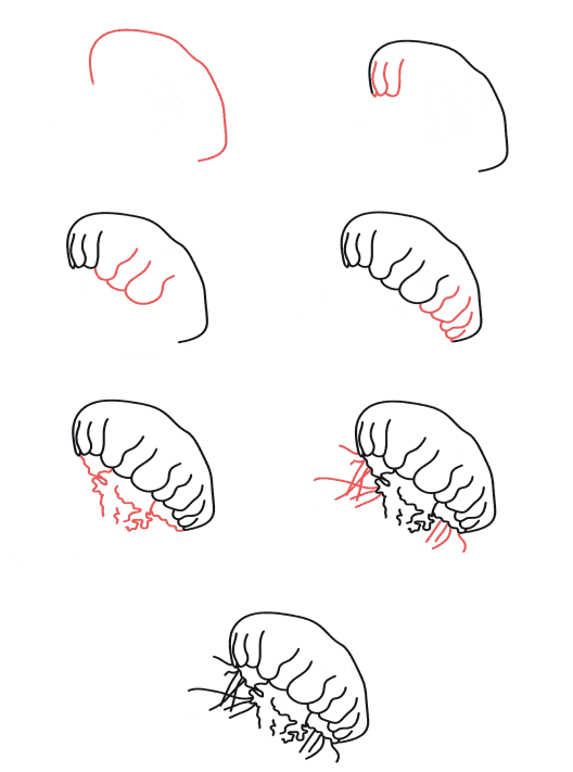 Dibujos de Medusa fría