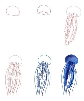Dibujos de Medusa oceánica