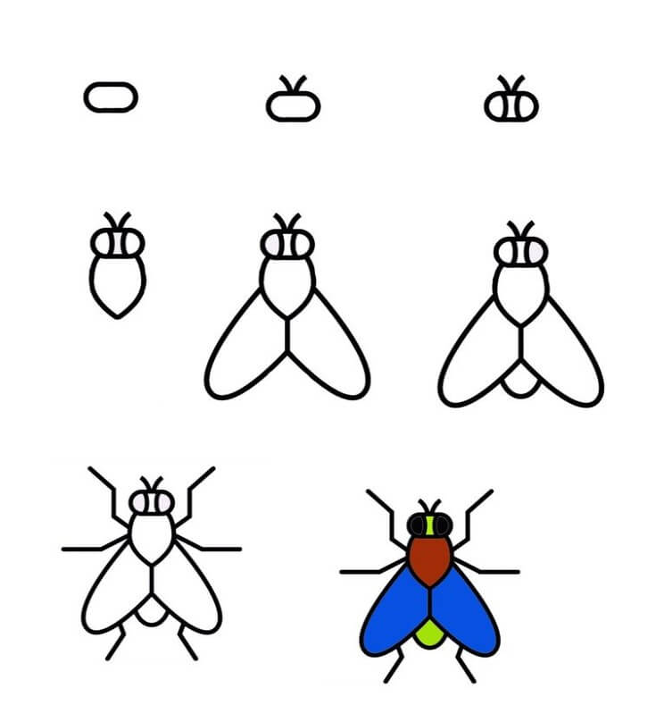 Dibujos de Mosca Azul