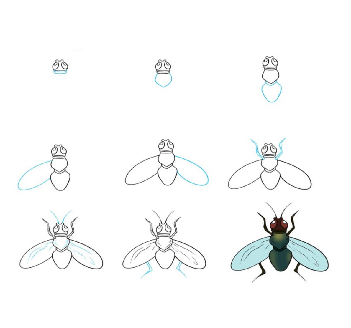 Dibujos de Mosca Común