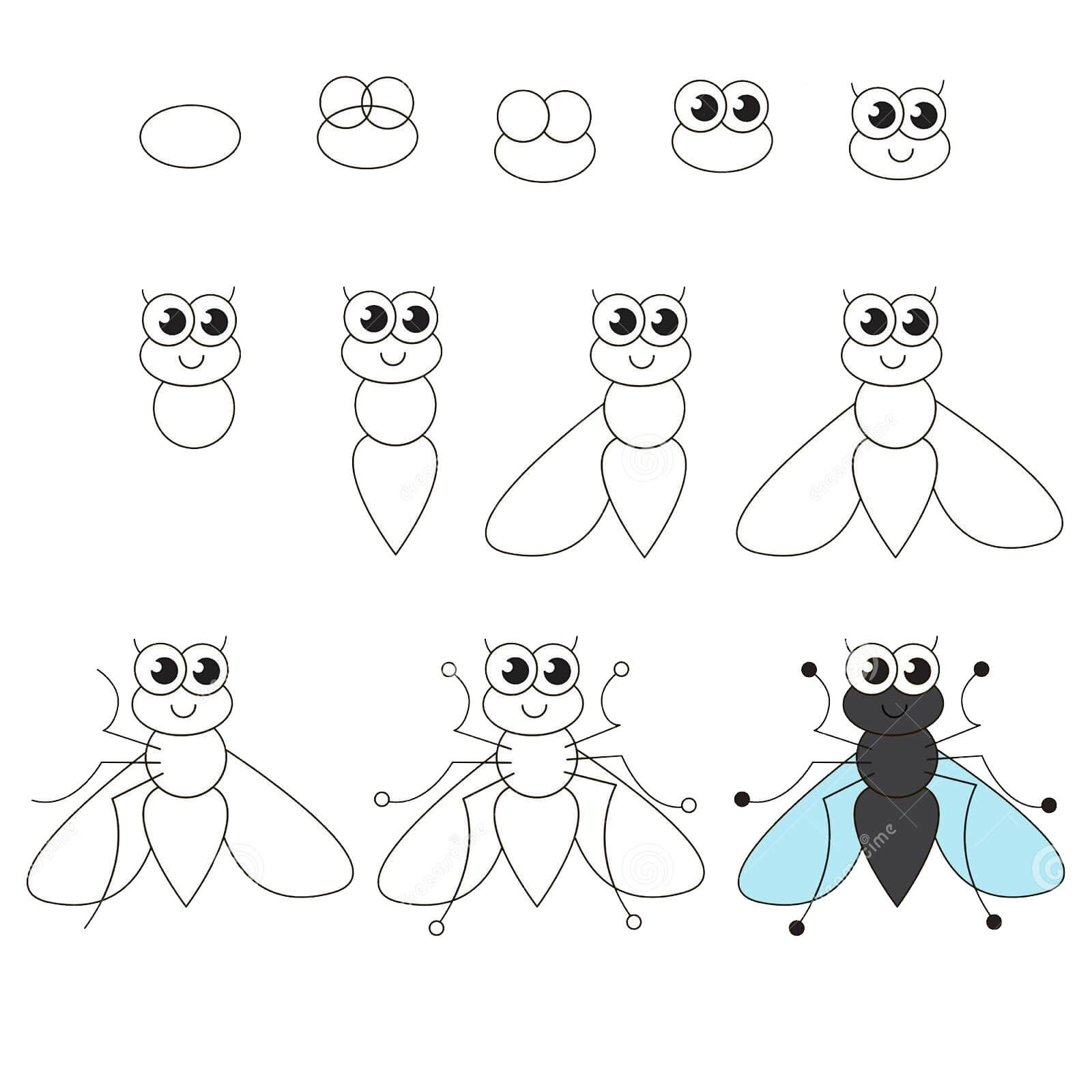 Dibujos de Mosca Curiosa