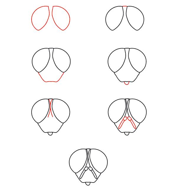 Dibujos de Mosca en la Naturaleza