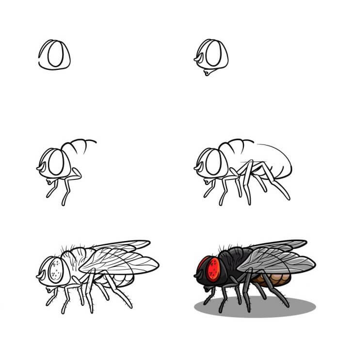 Dibujos de Mosca Grande