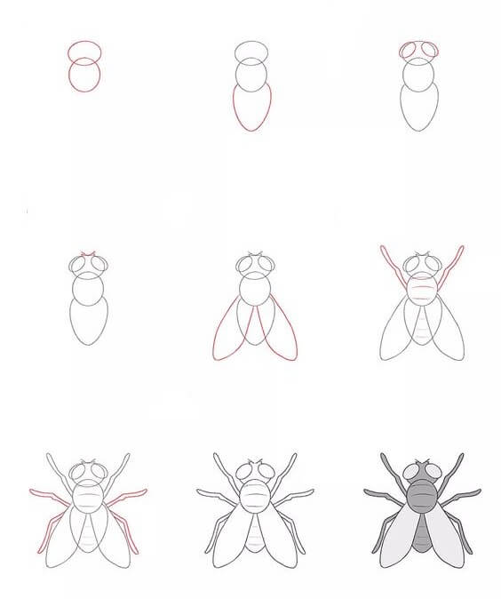 Dibujos de Mosca Gris