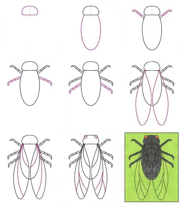 Dibujos de Mosca Negra