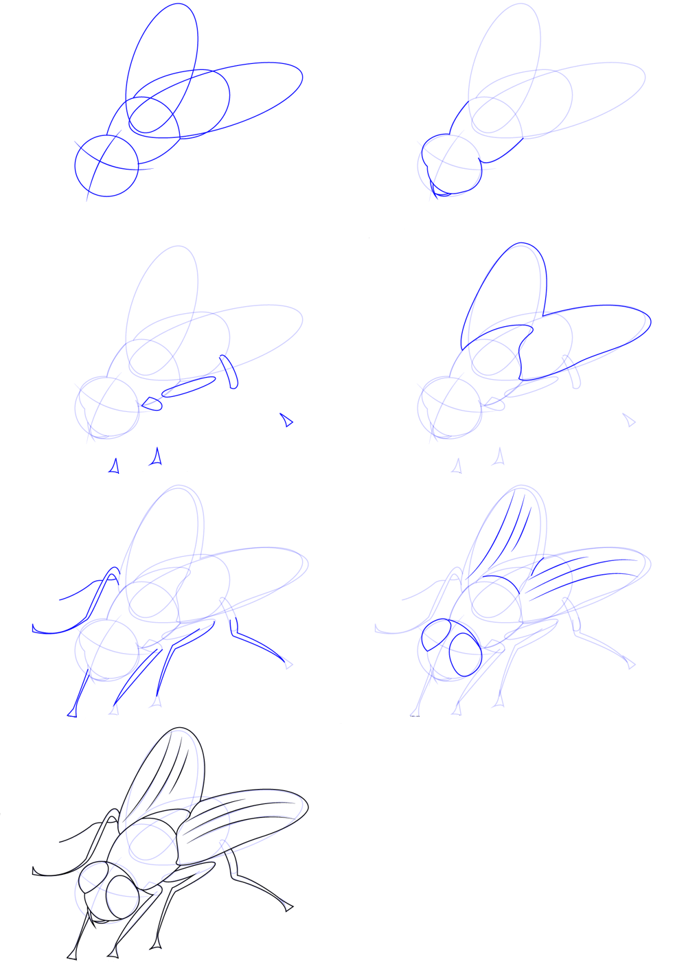 Dibujos de Mosca Silvestre