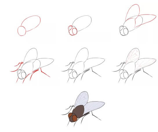 Dibujos de Mosca Tropical