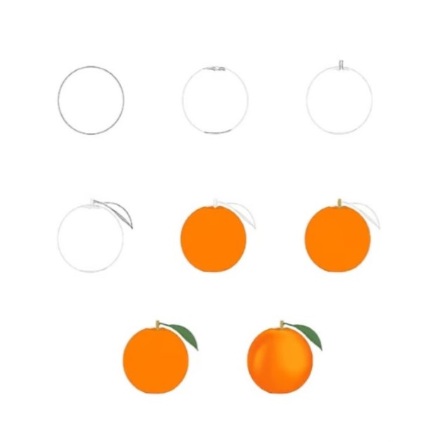 Dibujos de Naranja dulce
