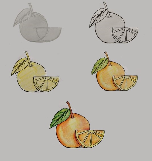 Dibujos de Naranja madura