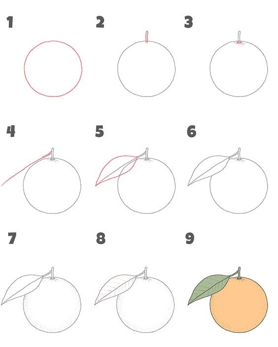 Dibujos de Naranja pequeña
