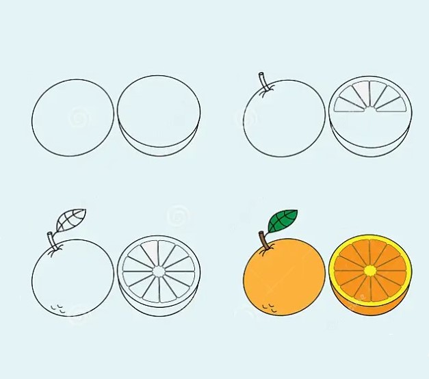 Dibujos de Naranja recién cosechada