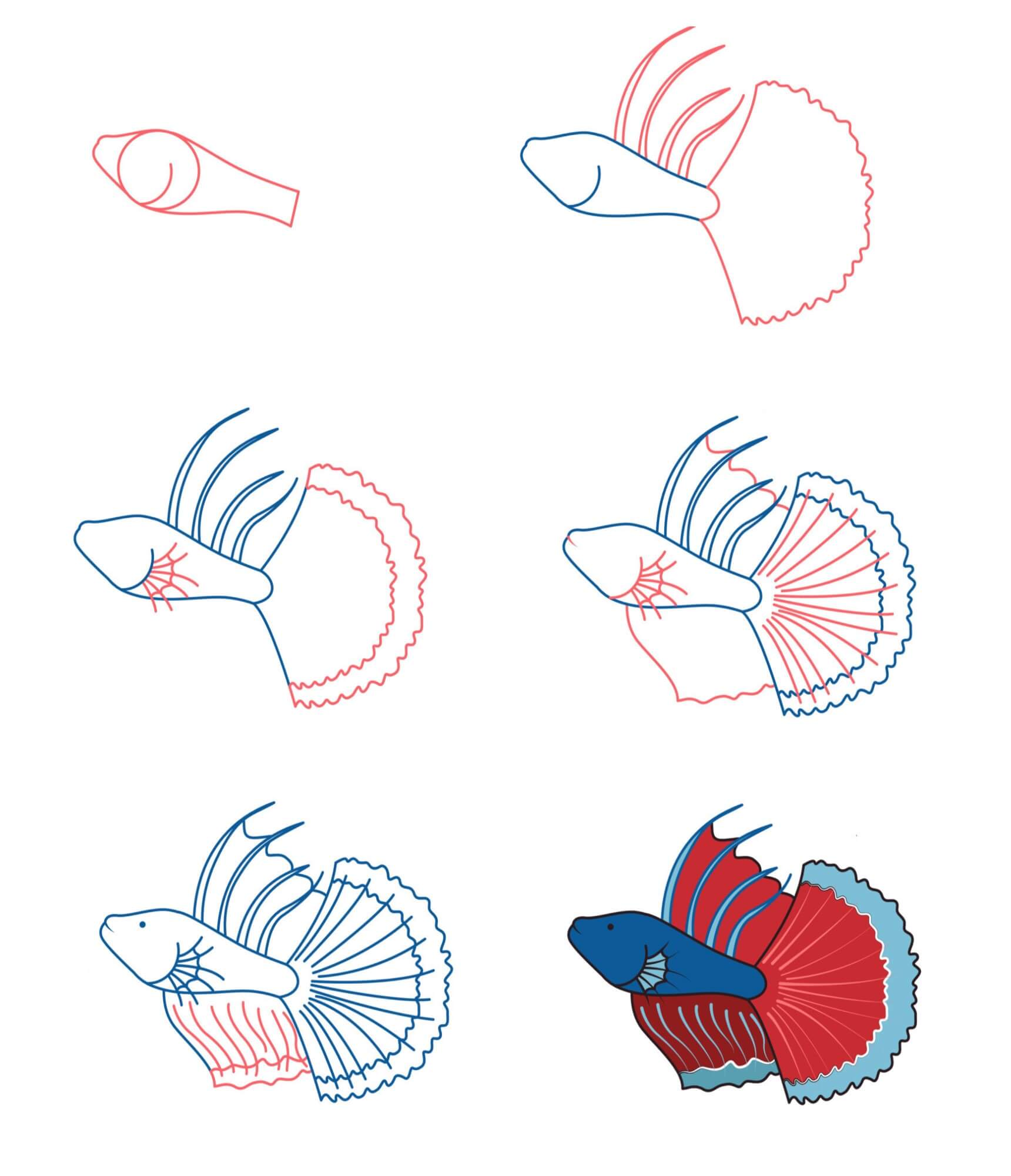 Dibujos de Especies de peces ornamentales