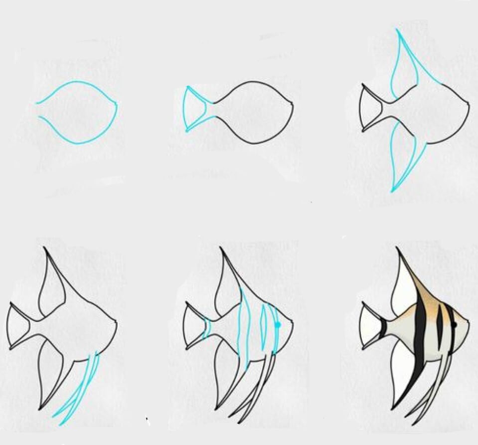 Dibujos de Pez Ornamental Elegante