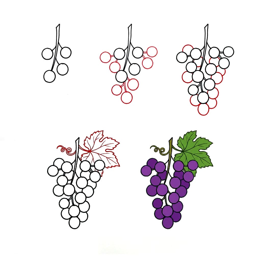 Dibujos de Racimo de uvas del viñedo