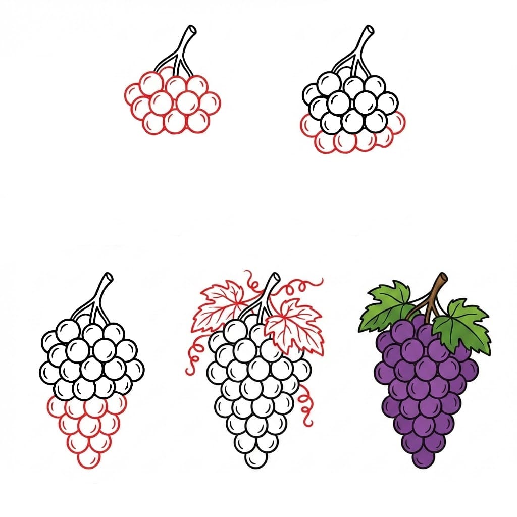 Dibujos de Racimo de uvas detalladas