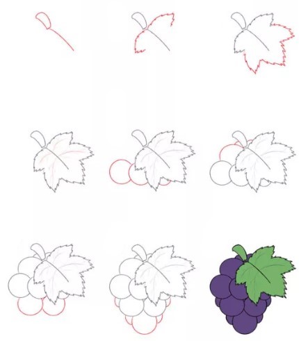 Dibujos de Racimos de Uvas