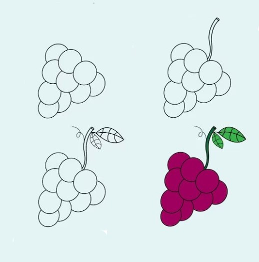 Dibujos de Racimo de uvas frescas