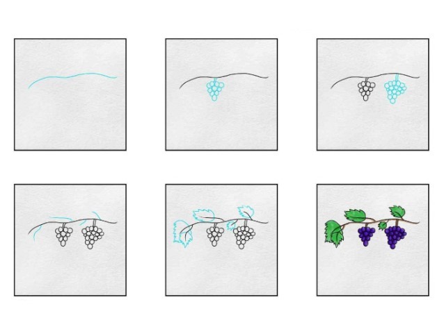 Dibujos de Racimo de uvas maduras