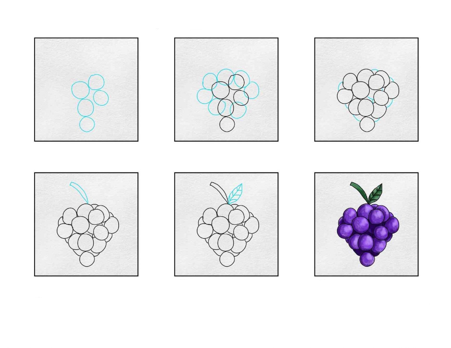 Dibujos de Racimo de uvas redondas