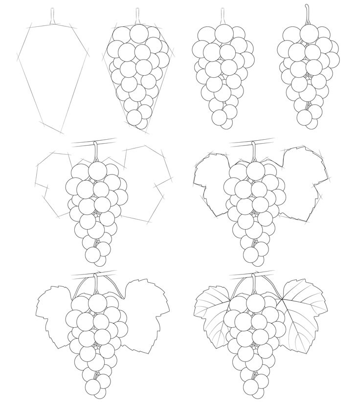 Dibujos de Racimo de uvas rojas