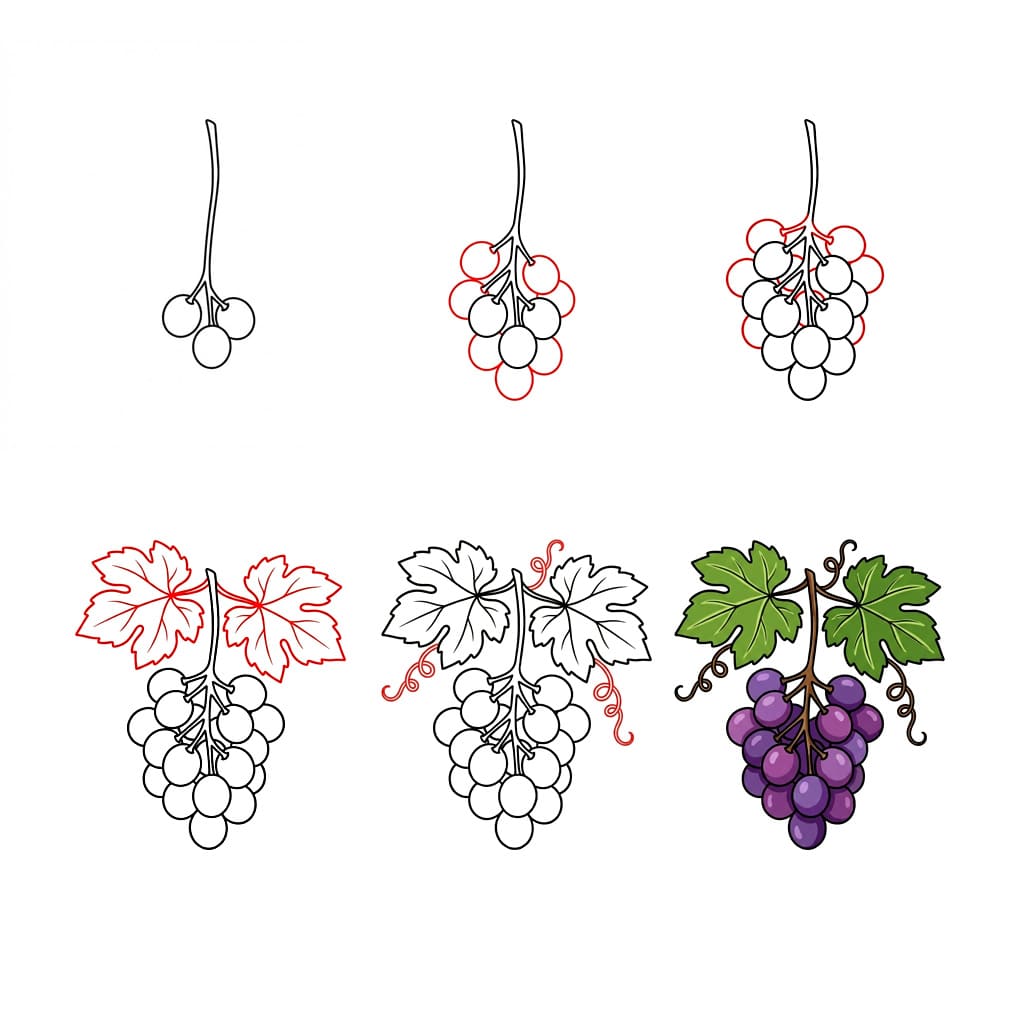 Dibujos de Racimo de uvas verdes y frescas