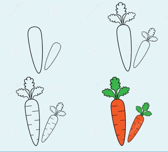 Dibujos de Zanahoria en el Jardín