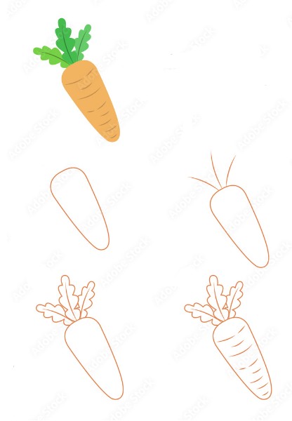 Dibujos de Zanahoria Recién Cosechada