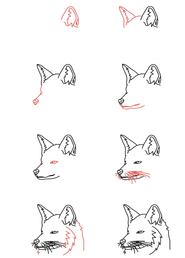 Dibujos de Zorro de Grandes Orejas