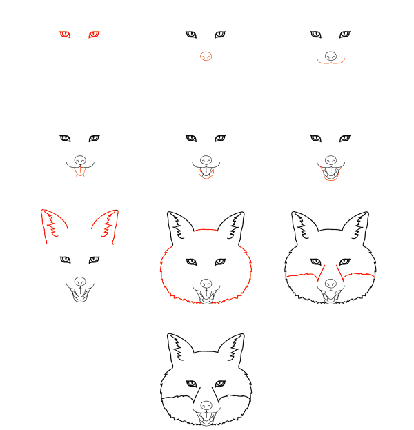 Dibujos de Zorro del Bosque