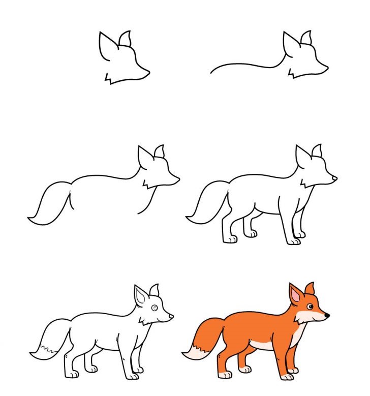 Dibujos de Zorro Rojo