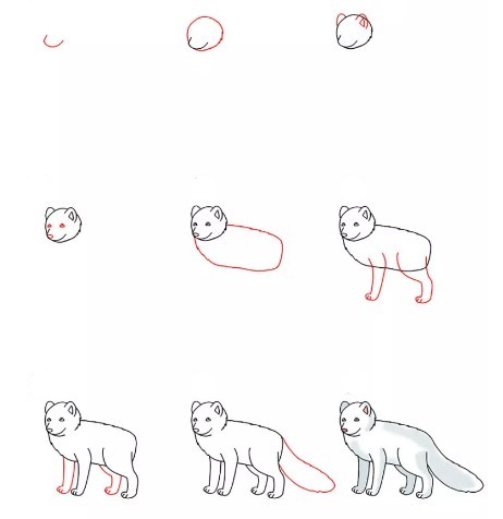 Dibujos de Zorro Silvestre