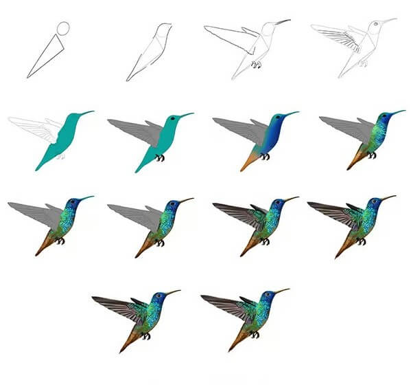 Dibujos de Un colibrí realista