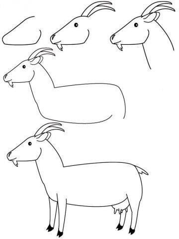 Dibujos de Cabra de perfil