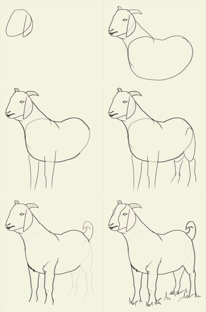 Dibujos de Cabra en el campo