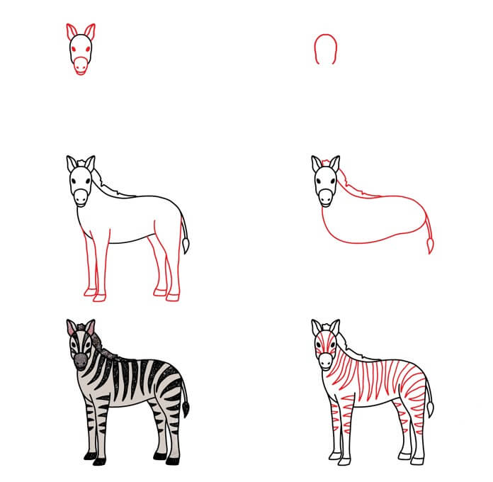 Dibujos de Cebra adulta
