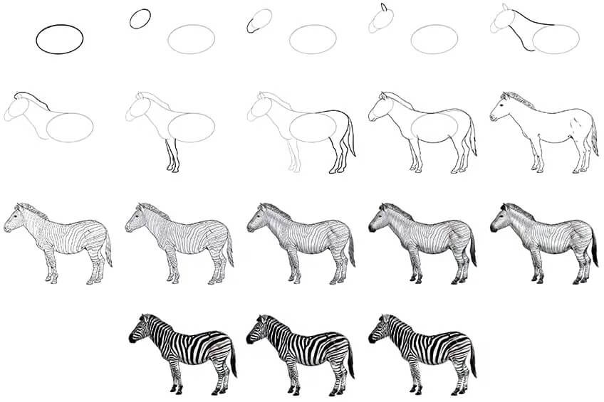 Dibujos de Cebra detallada
