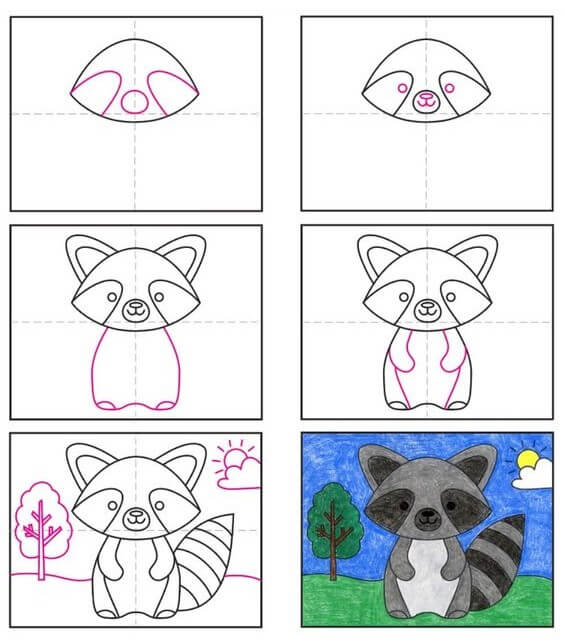 Dibujos de Mapache básico