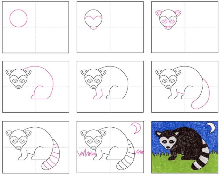 Dibujos de Mapache en el bosque
