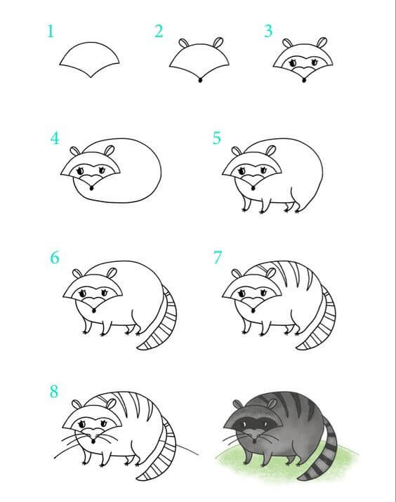 Dibujos de Mapache gordito