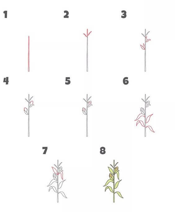 Dibujos de Un árbol de maíz